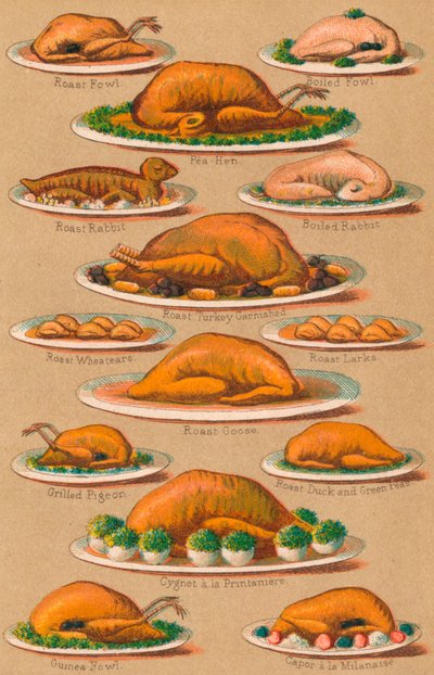 Gestion du ménage - Planche VI, 1907 - Unbekannt