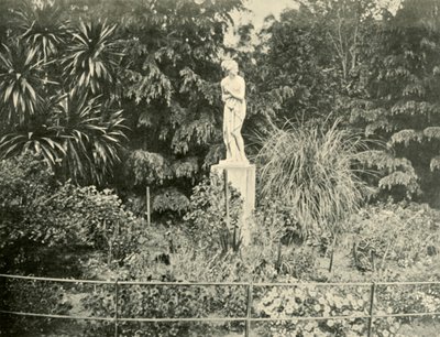 Dans les jardins de Fitzroy, Melbourne, 1901 - Unbekannt