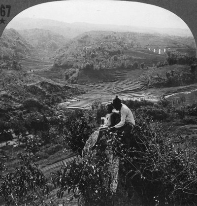 Java, Indonésie, c1900s - Unbekannt