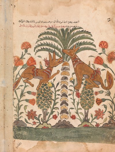 Kalila réprimandant Dimna, Folio d