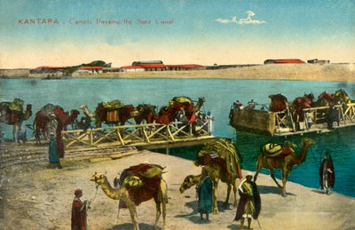 Kantara - Chameaux passant le canal de Suez, c. 1918-c. 1939 - Unbekannt