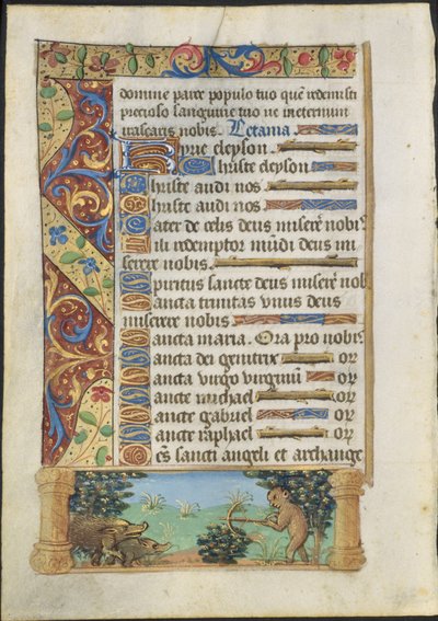 Feuille d
