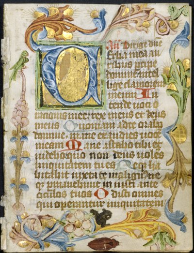 Feuille d