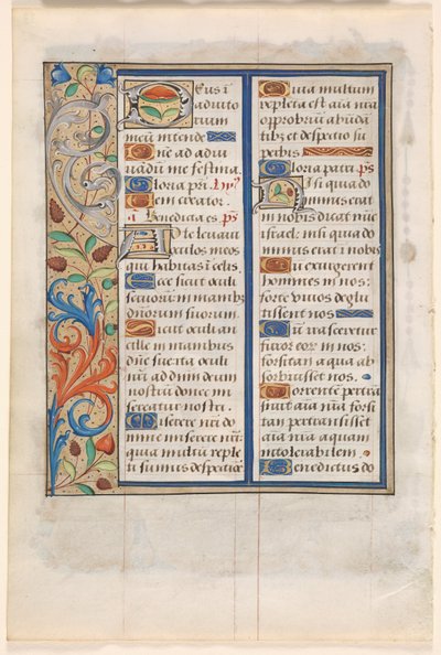 Feuille d