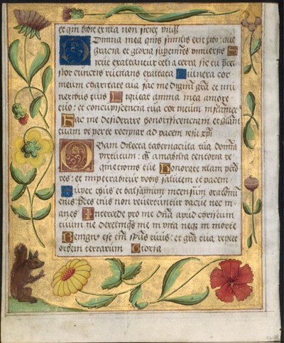 Feuille d