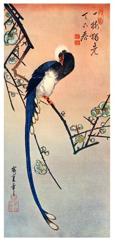 Oiseau bleu à longue queue sur une branche de prunier en fleur, 19ème siècle - Unbekannt
