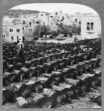Fabrication de bouteilles de vin, Hébron, vers 1900 - Unbekannt