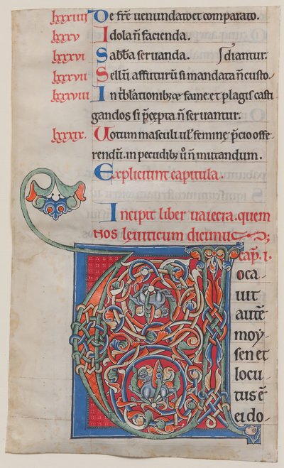Enluminure de manuscrit avec initiale V, d