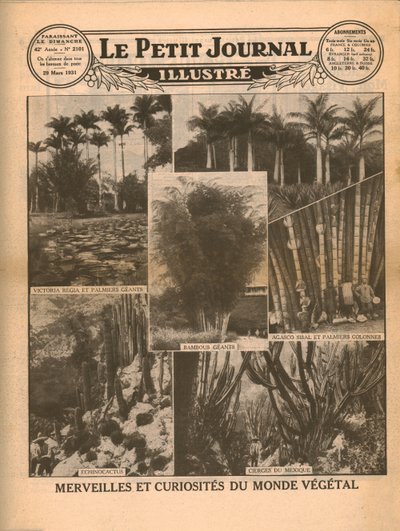Merveilles et curiosités du monde végétal, 1931 - Unbekannt