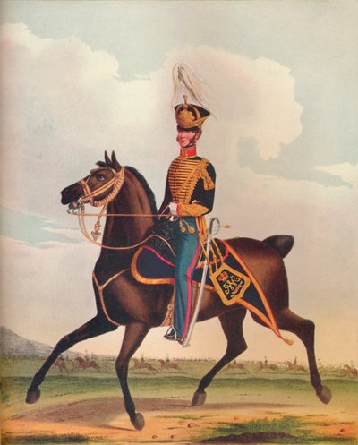 Officier de la brigade d