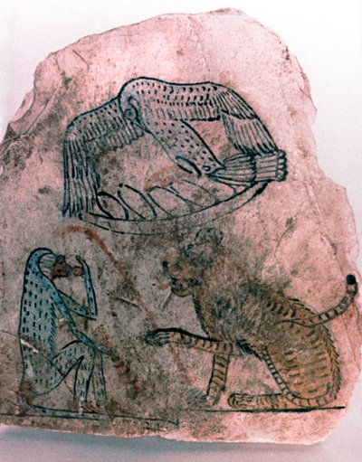 Fragment d