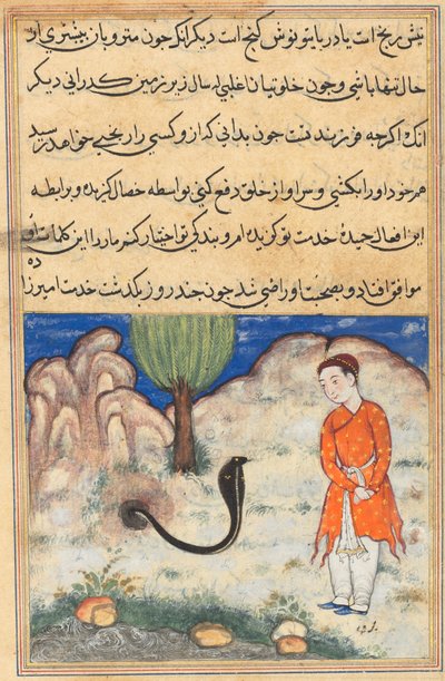 Page des Contes d