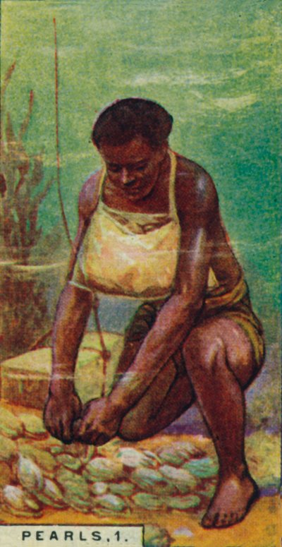 Perles 1. Plongeur natif au travail, Ceylan, 1928 - Unbekannt