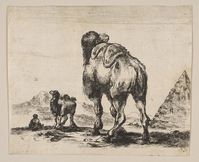 Planche 18 : chameau vu de dos avec pyramide à droite, de Divers animaux - Unbekannt