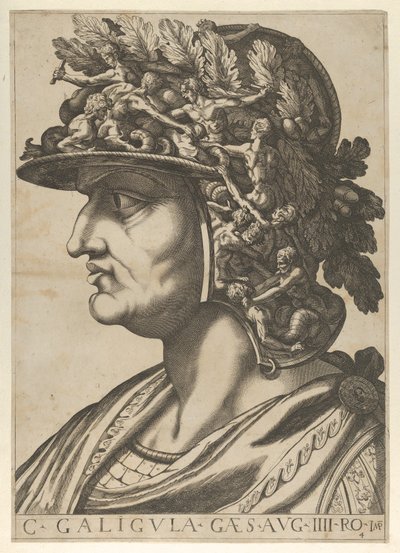 Planche 4 : Caius de profil face à gauche, des 