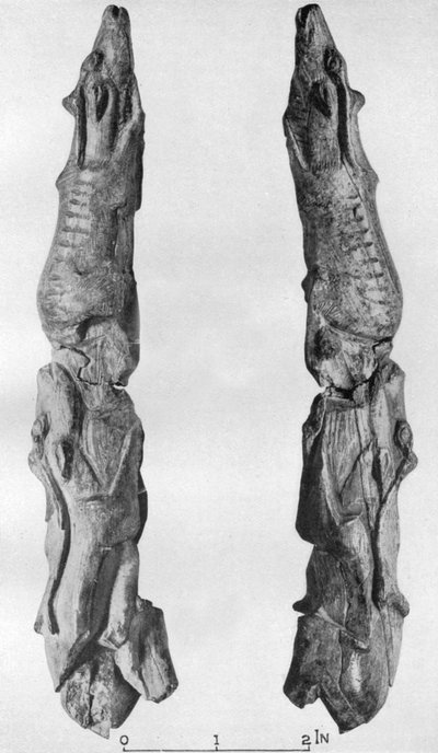 Pointe de défense de mammouth sculptée avec des rennes, de Montastruc, Bruniquel, France, 1926 - Unbekannt