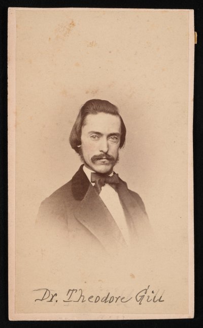 Portrait de Theodore Nicholas Gill - Unbekannt