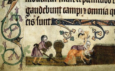 Moisson et liage des gerbes du Psautier de Luttrell, vers 1330 - Unbekannt