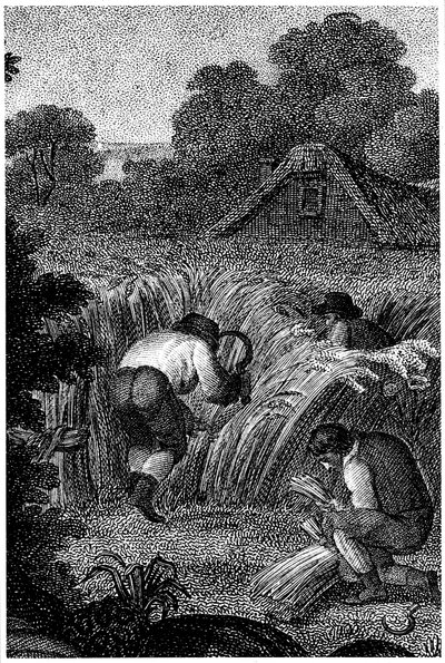 Moisson avec faucilles et liage des gerbes, Angleterre, vers 1800 - Unbekannt