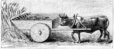 Reconstruction de la machine à moissonner utilisée en Gaule à l