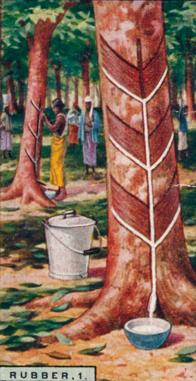 Caoutchouc, 1. Taper les arbres, Ceylan, 1928 - Unbekannt