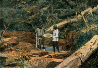 Saint-Elie. La Batée Recherche De L