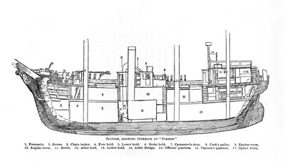 Section, montrant l
