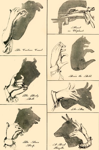 Ombres chinoises et silhouettes, 1883 - Unbekannt