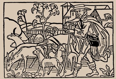 Berger. De Speculum Vitae Humanae par Rodericus Zamorensis, 1479 - Unbekannt
