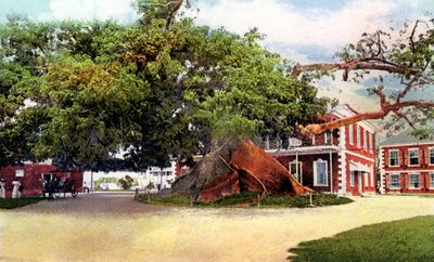Fromager, Nassau, New Providence, Bahamas, vers 1900 - Unbekannt