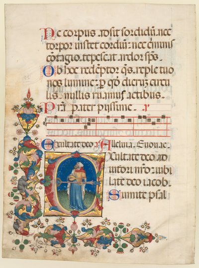 Feuille unique extraite d