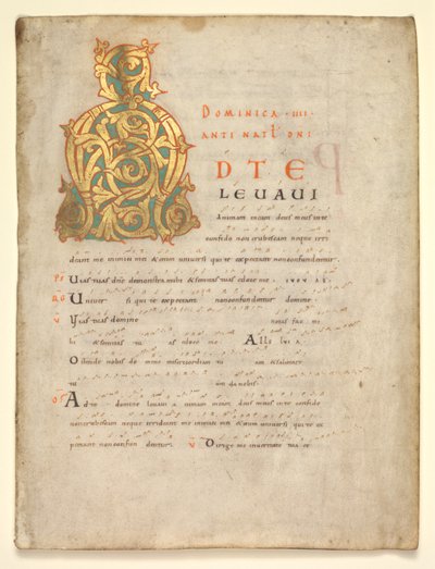 Feuille unique extraite d