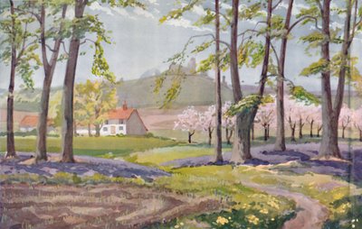 Printemps - Les changements physiques, chimiques et biologiques causés par le soleil au cours de l