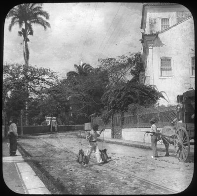 Scène de rue, Pernambuco, Brésil, fin du 19e ou début du 20e siècle - Unbekannt