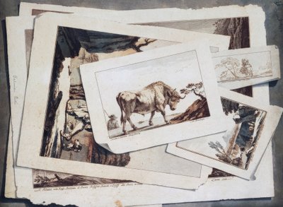 Étude de dessins et gravures - Unbekannt
