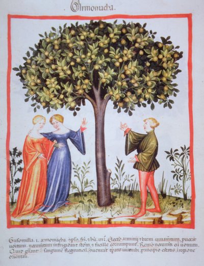 "Tacuinum Sanitatis" Codex Vindobonensis Nova Series 2644, fol. 9, Récolte d