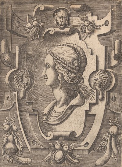 Targhe ed altri ornati di varie e capricciose invenzioni, 1773 - Unbekannt