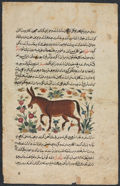 Page de texte, prose persane recto, Khar Ass verso, 1400s - Unbekannt