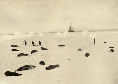 Le Nimrod à Pram Point le 4 mars 1909 - Unbekannt