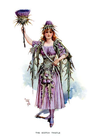 Le Chardon écossais, 1899 - Unbekannt