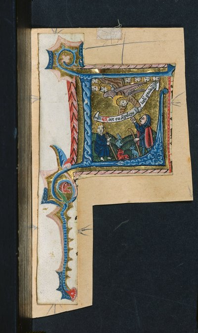 Trois découpes d