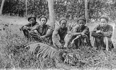 Chasseurs de tigres, Tonkin, Vietnam, XXe siècle - Unbekannt