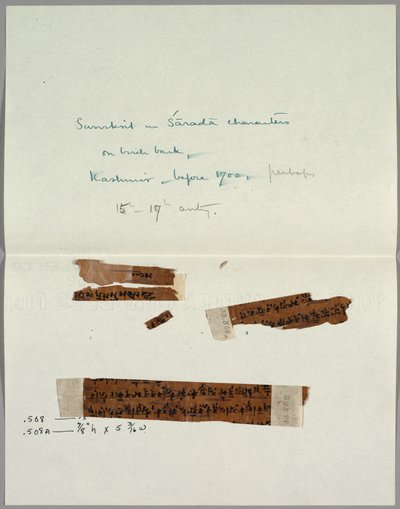 Deux fragments d