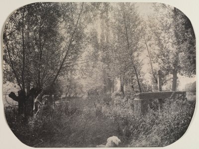 Paysage sans titre avec chien, vers 1910 - Unbekannt