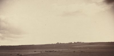 Vue des champs avec des vaches, années 1850-1860 - Unbekannt