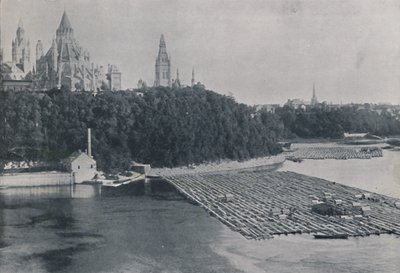 Vue d