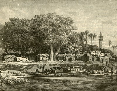 Vue sur le delta du Nil, 1890 - Unbekannt