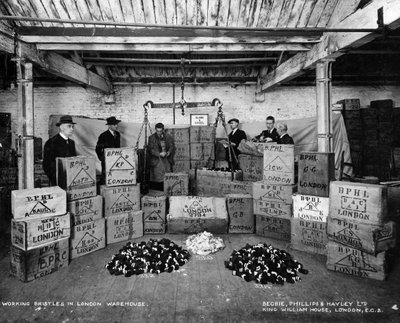 Travail avec des poils dans un entrepôt, Londres, 1938 - Unbekannt