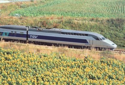 Train TGV Atlantique - Unbekannt Unbekannt