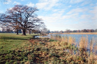 Vue du lac, Corsham Court, Wiltshire - Unbekannt Unbekannt